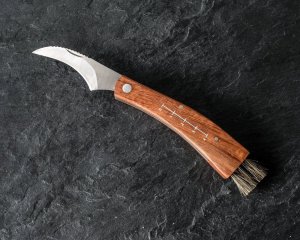 Nož za gobe s čopičem