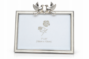 Fotografski okvir goloba