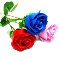 Milo Blossom - Rdeča vrtnica