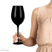 Kovček za steklenico vina z vinskimi kozarci diVinto Black