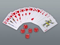 Komplet POKER 240 ml z luknjačem in kartami